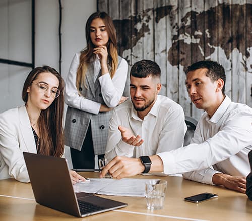 Consultant reviewing a technical implementation plan