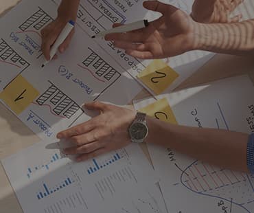 CMS Development & Management consulting and support service